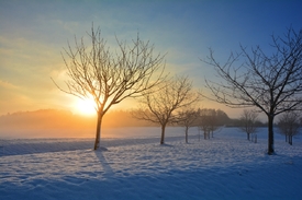 Sonnenaufgang im Winter/11684072